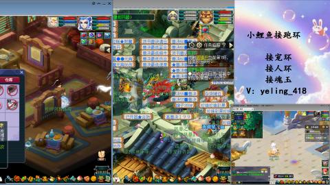 接命魂之玉 人环 宠环