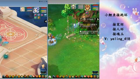 接命魂之玉 人环 宠环