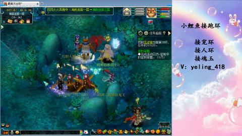 接命魂之玉 人环 宠环