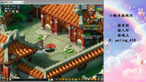 接命魂之玉 人环 宠环