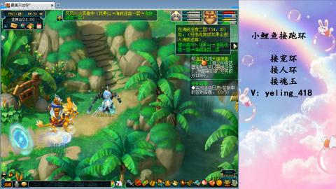 接命魂之玉 人环 宠环