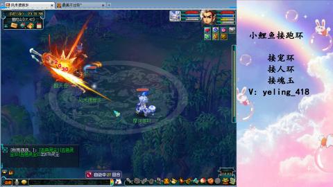 接命魂之玉 人环 宠环