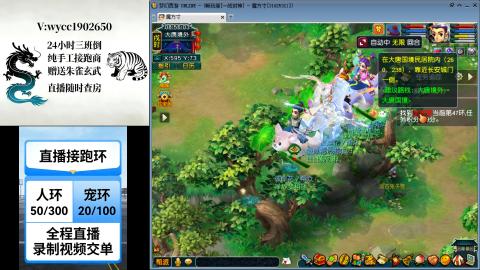 接畅玩跑环跑商