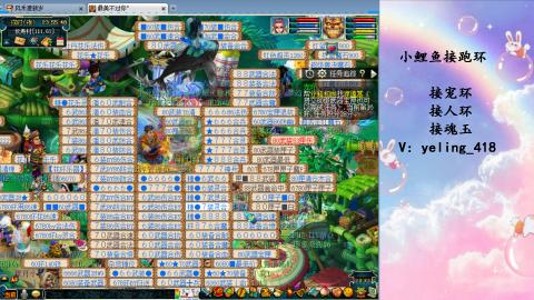 接命魂之玉 人环 宠环