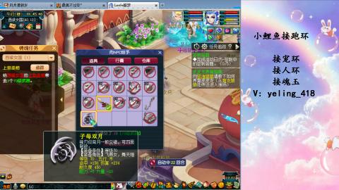 接命魂之玉 人环 宠环