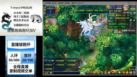 接畅玩跑环跑商