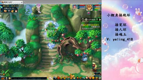 接命魂之玉 人环 宠环