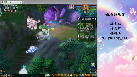 接命魂之玉 人环 宠环