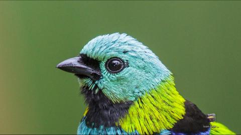 只希望我能带给你们快乐