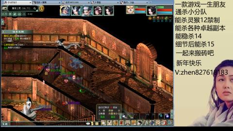 无属性双盘小分队