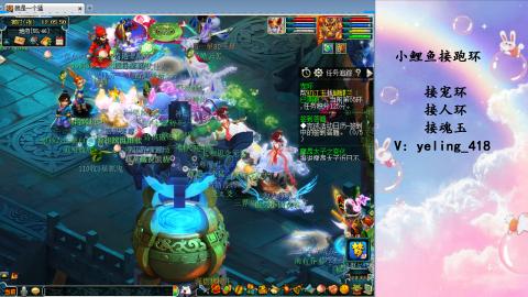 接命魂之玉 人环 宠环