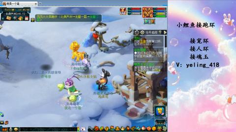 接命魂之玉 人环 宠环