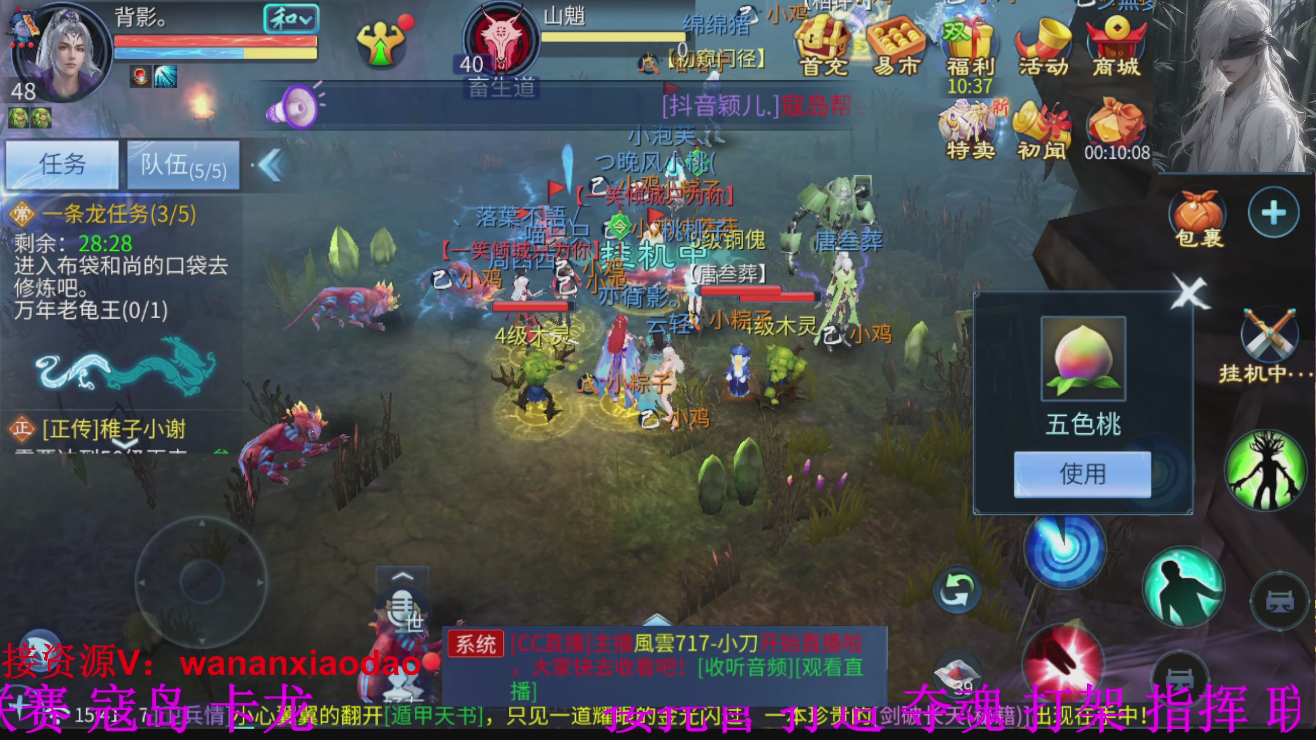 专业新区打造冲榜大翅膀