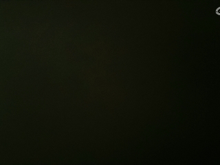 不要留下我一个人孤军奋战..