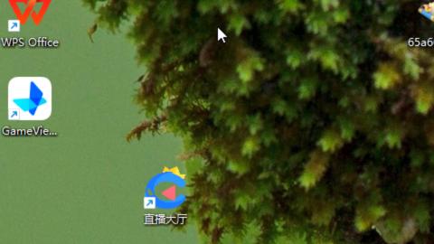 接九转蜃境托管~