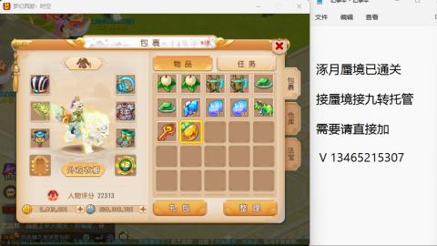 接九转蜃境托管~