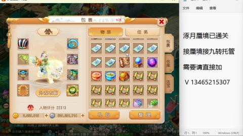 接九转蜃境托管~