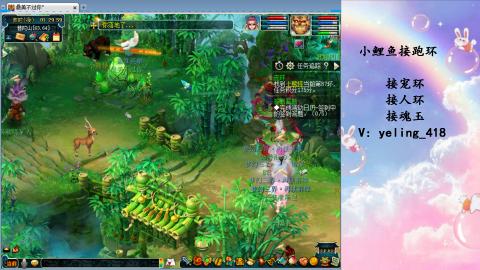 接命魂之玉 人环 宠环