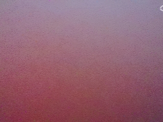 别翻了~就我了~