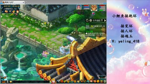 接命魂之玉 人环 宠环