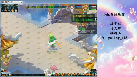 接命魂之玉 人环 宠环