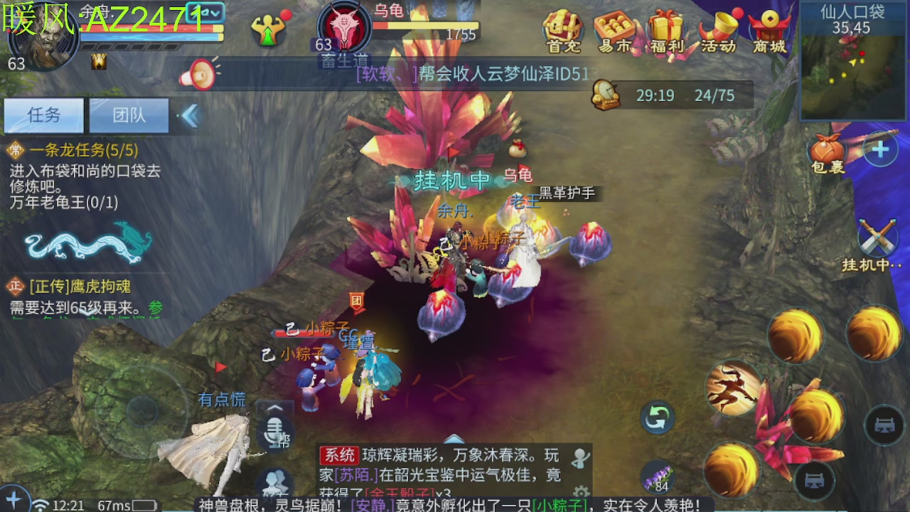 接托管，包强化，背饰打造