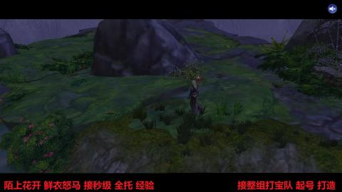 陌上花开 鲜衣怒马 接秒级 全托 经验