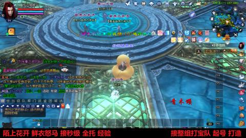 陌上花开 鲜衣怒马 接秒级 全托 经验