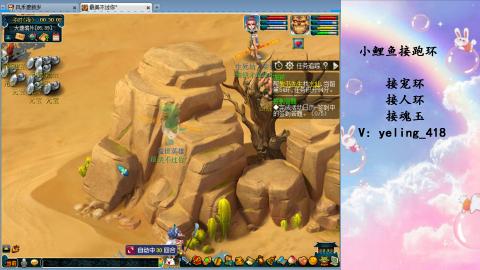 接命魂之玉 人环 宠环