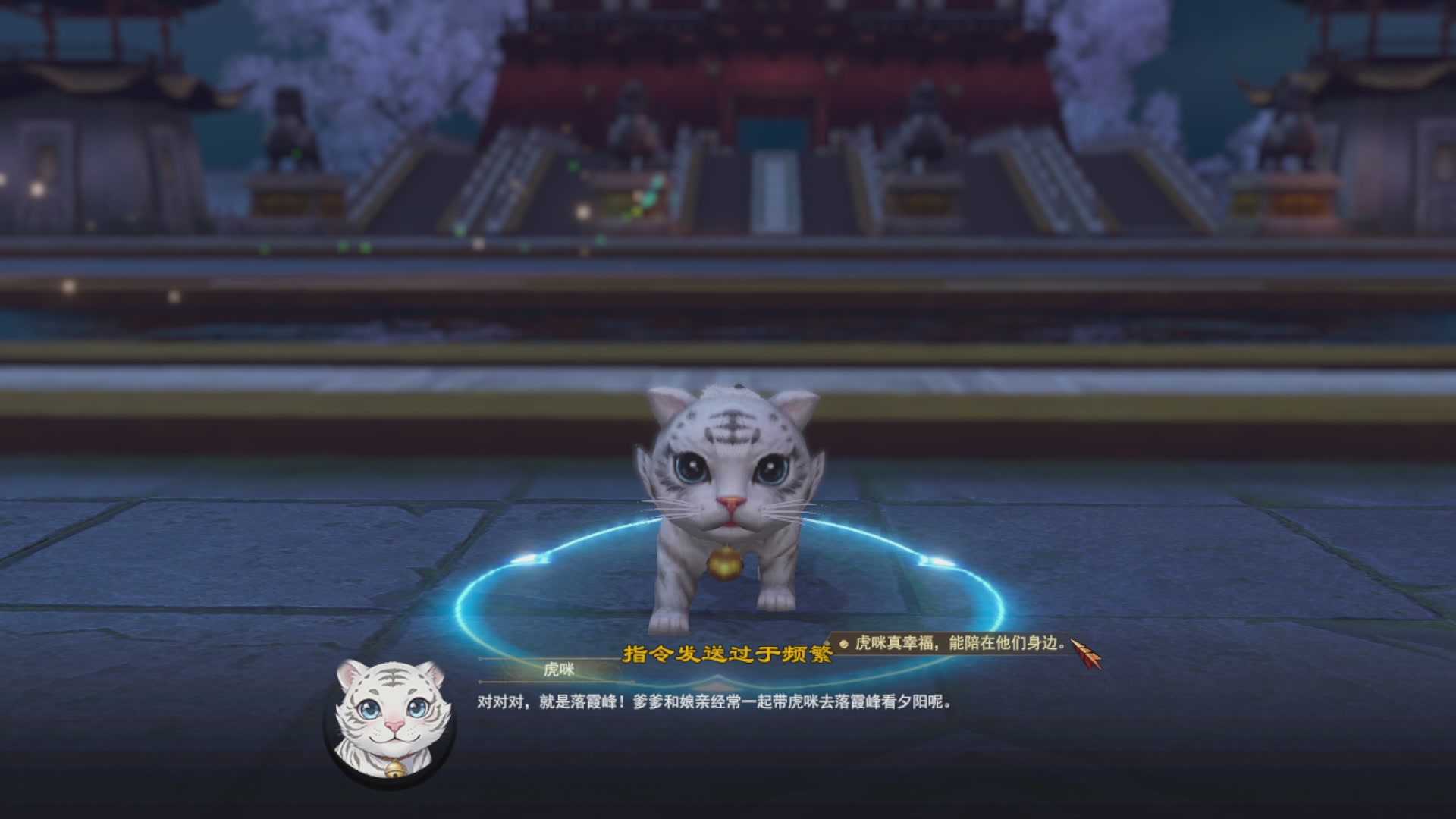 陪伴是最浪漫的旅程