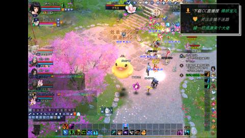 新人主播多多关注