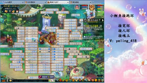 接命魂之玉 人环 宠环