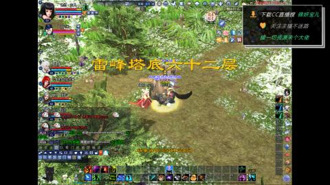 新人主播多多关注