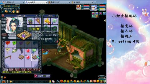 接命魂之玉 人环 宠环