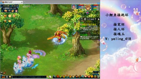 接命魂之玉 人环 宠环