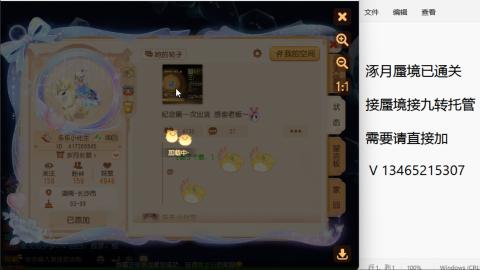 接九转蜃境托管~