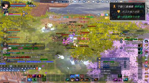 新人主播多多关注