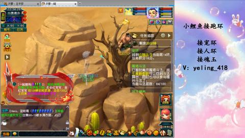 接命魂之玉 人环 宠环