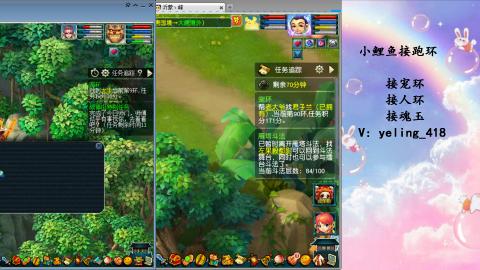 接命魂之玉 人环 宠环