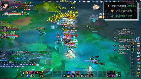 新人主播多多关注