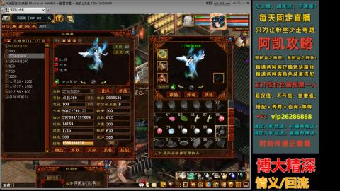 阿凯搭配装备中