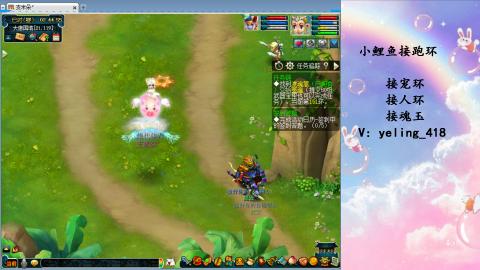 接命魂之玉 人环 宠环