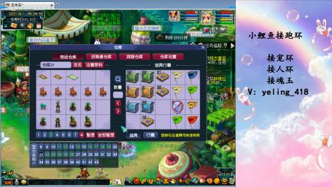 接命魂之玉 人环 宠环