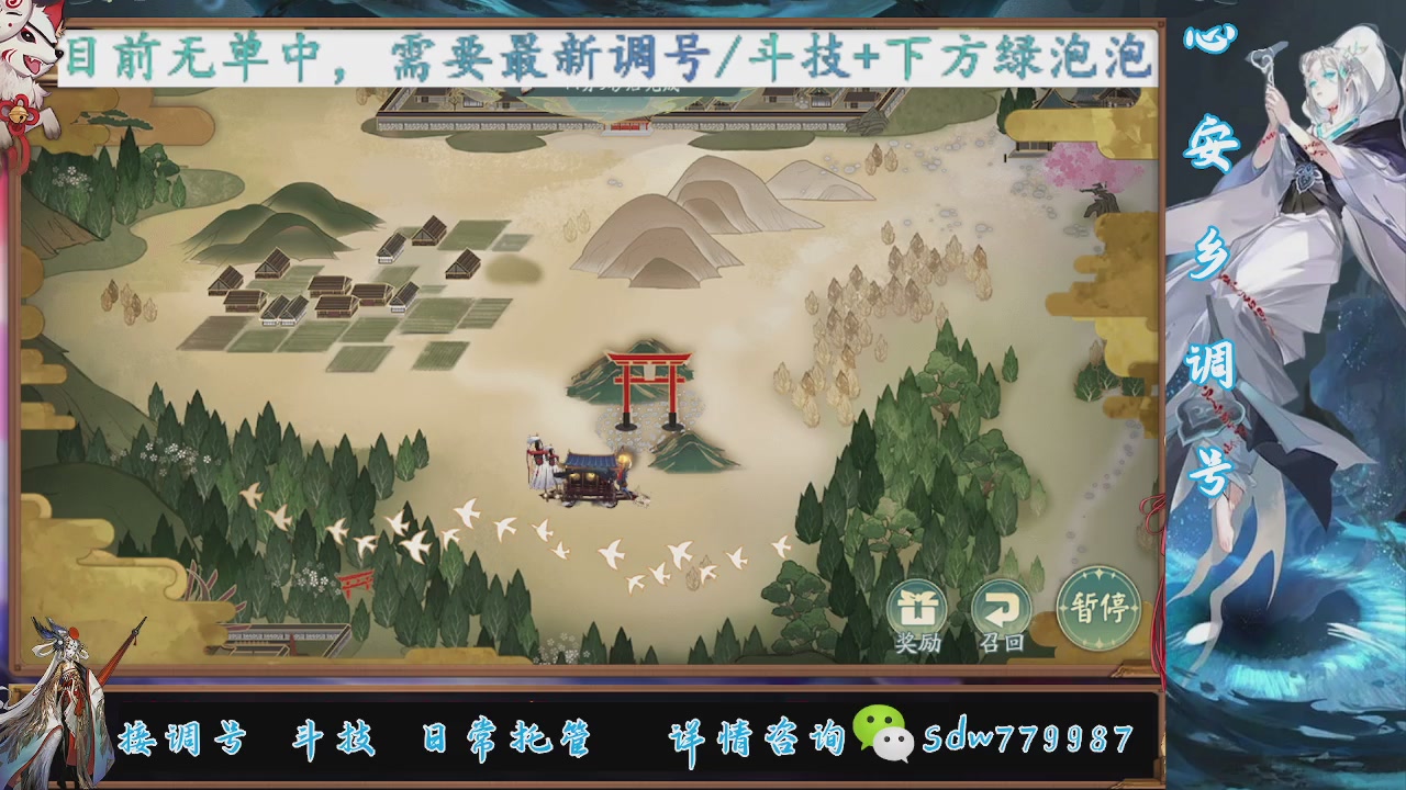 接调号|斗技|托管