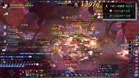 新人主播多多关注