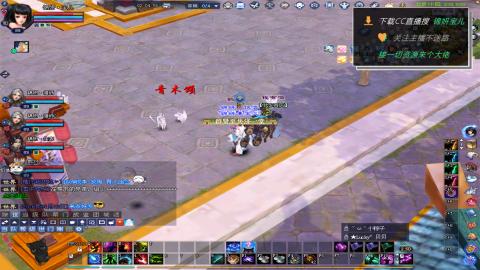 新人主播多多关注