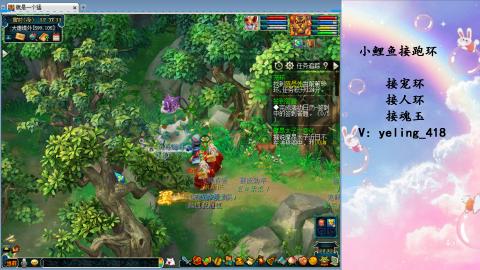 接命魂之玉 人环 宠环