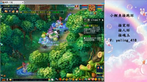 接命魂之玉 人环 宠环