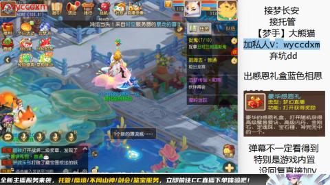 接大海龟活动最后俩天