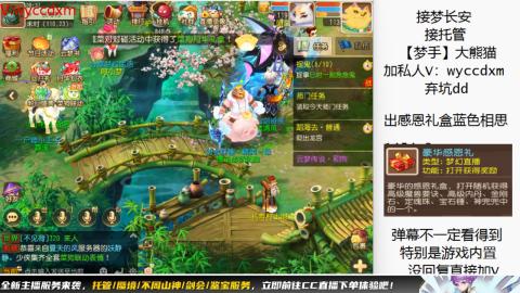 接大海龟活动最后俩天